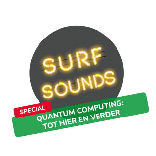 Quantum computing: Tot hier en verder afl.1 Ruis en risico